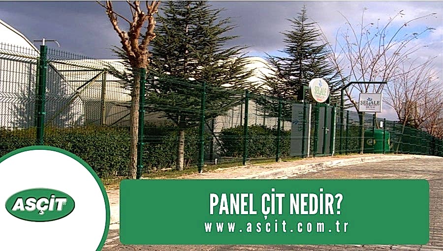 panel-cit-nedir