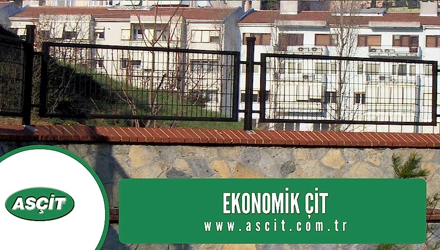 ekonomik-cit