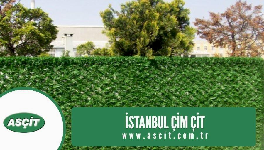 istanbul-cim-cit