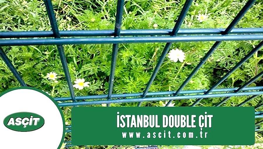 istanbul-double-cit