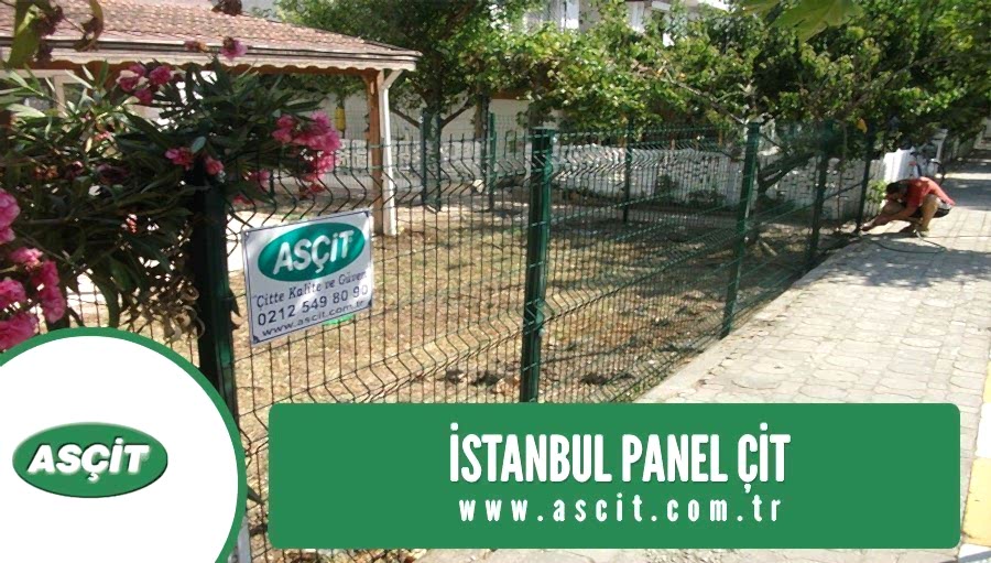 istanbul-panel-cit